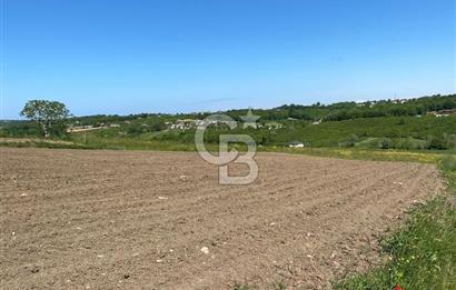 KANDIRA BALLAR'DA ANAYOLA GENİŞ CEPHELİ 5530 M2 SATILIK ARSA