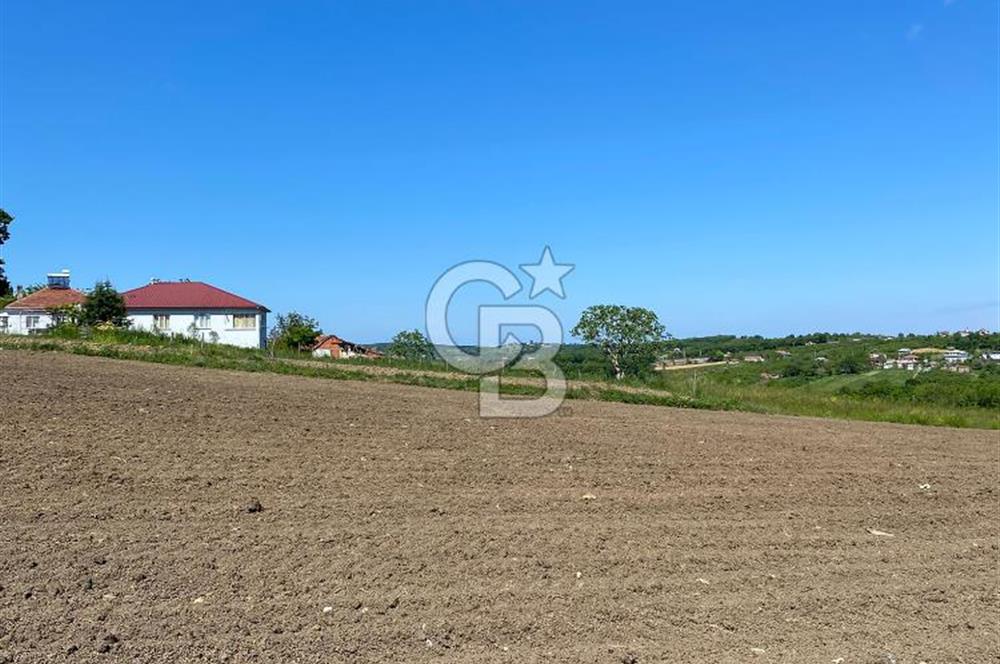 KANDIRA BALLAR'DA ANAYOLA GENİŞ CEPHELİ 5530 M2 SATILIK ARSA