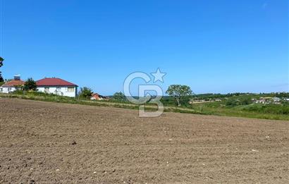 KANDIRA BALLAR'DA ANAYOLA GENİŞ CEPHELİ 5530 M2 SATILIK ARSA