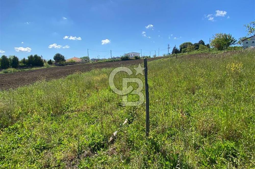 KANDIRA BALLAR'DA ANAYOLA GENİŞ CEPHELİ 5530 M2 SATILIK ARSA