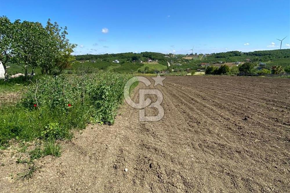 KANDIRA BALLAR'DA ANAYOLA GENİŞ CEPHELİ 5530 M2 SATILIK ARSA