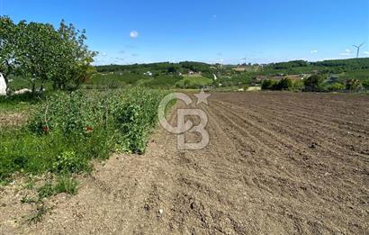 KANDIRA BALLAR'DA ANAYOLA GENİŞ CEPHELİ 5530 M2 SATILIK ARSA