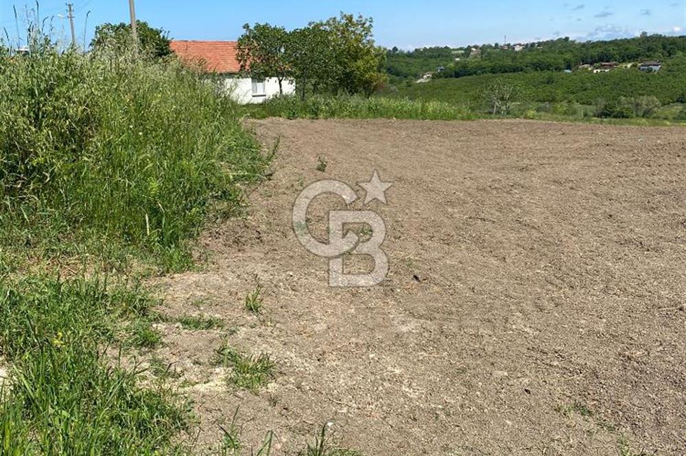 KANDIRA BALLAR'DA ANAYOLA GENİŞ CEPHELİ 5530 M2 SATILIK ARSA