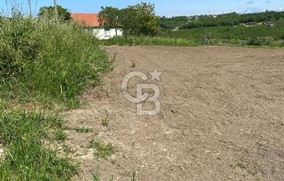 KANDIRA BALLAR'DA ANAYOLA GENİŞ CEPHELİ 5530 M2 SATILIK ARSA
