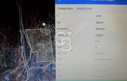 İZMİR ÇEŞME REİSDEREDE 17942 m2 SATILIK TARLA