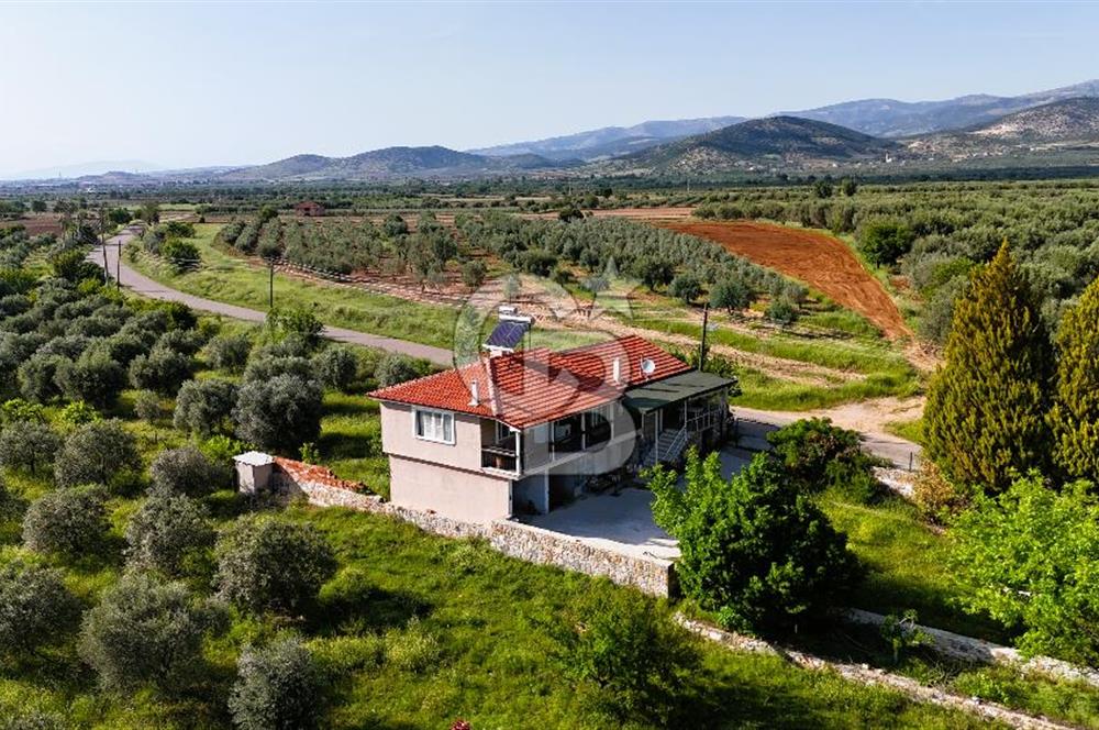 Aydın Karacasu Ataeymir'de 20 Dönüm Fırsat Satılık Bahçe