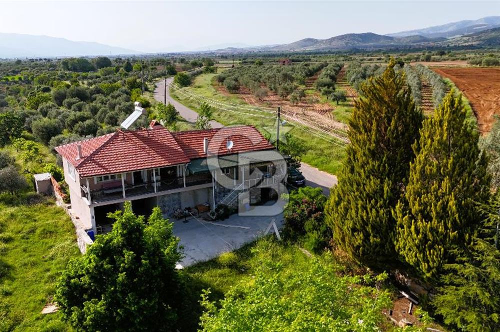 Aydın Karacasu Ataeymir'de 20 Dönüm Fırsat Satılık Bahçe
