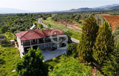 Aydın Karacasu Ataeymir'de 20 Dönüm Fırsat Satılık Bahçe
