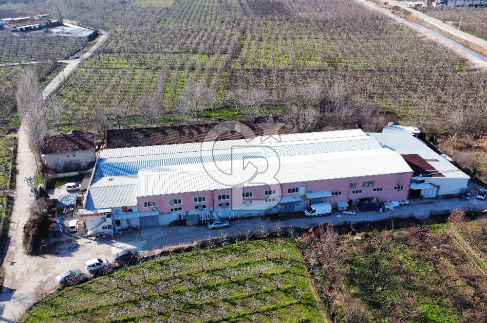 Gürsu Hasanköyde Kiralık Fabrika