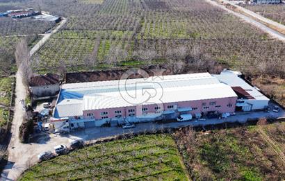 Gürsu Hasanköyde Kiralık Fabrika