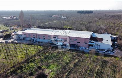 Gürsu Hasanköyde Kiralık Fabrika