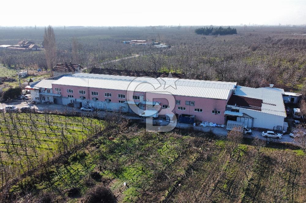 Gürsu Hasanköyde Kiralık Fabrika