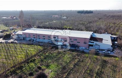 Gürsu Hasanköyde Kiralık Fabrika