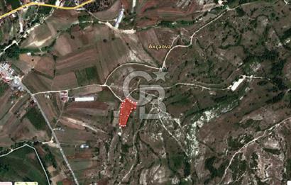 KOCAELİ KANDIRA AKÇAOVA YATIRIMLIK TARLA 5395 M2