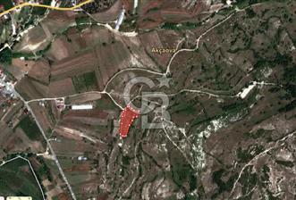 KOCAELİ KANDIRA AKÇAOVA YATIRIMLIK TARLA 5395 M2