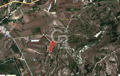 KOCAELİ KANDIRA AKÇAOVA YATIRIMLIK TARLA 5395 M2