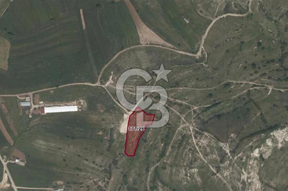 KOCAELİ KANDIRA AKÇAOVA YATIRIMLIK TARLA 5395 M2