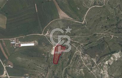 KOCAELİ KANDIRA AKÇAOVA YATIRIMLIK TARLA 5395 M2