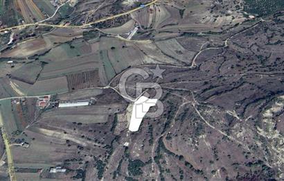 KOCAELİ KANDIRA AKÇAOVA YATIRIMLIK TARLA 5395 M2