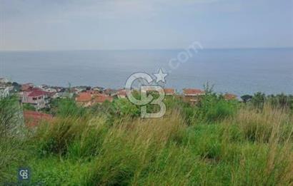 YALOVA ESENKÖY ÇEŞME MEVKİİ SATILIK İMARLI ARSA !!!