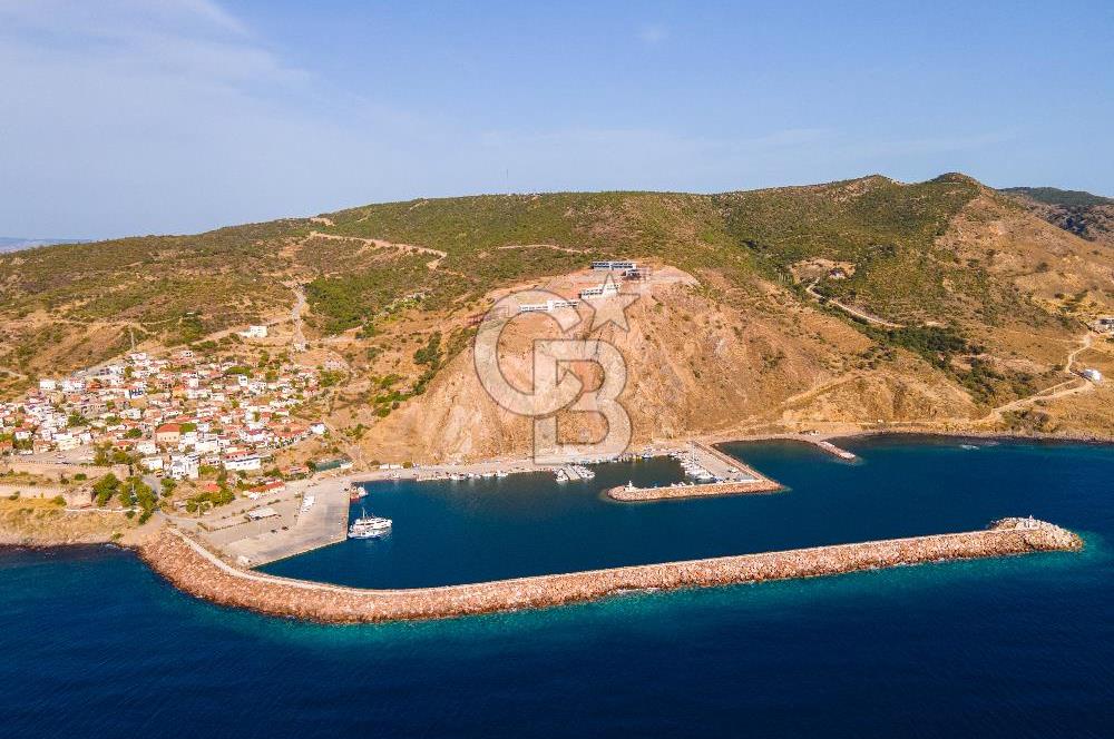 ÇANAKKALE AYVACIK BABAKALE DE SATILIK 900 m2 HOBİ BAHÇESİ