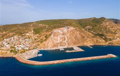 ÇANAKKALE AYVACIK BABAKALE DE SATILIK 900 m2 HOBİ BAHÇESİ