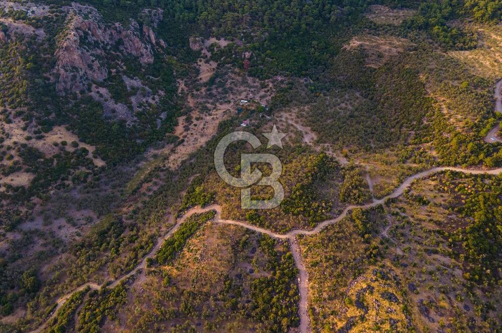 ÇANAKKALE AYVACIK BABAKALE DE SATILIK 900 m2 HOBİ BAHÇESİ
