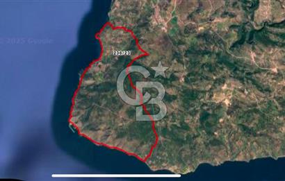 ÇANAKKALE AYVACIK BABAKALE DE SATILIK 900 m2 HOBİ BAHÇESİ