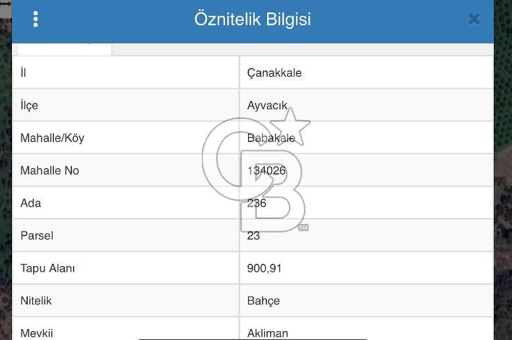 ÇANAKKALE AYVACIK BABAKALE DE SATILIK 900 m2 HOBİ BAHÇESİ
