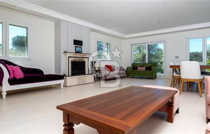 URLA KEKLİKTEPE'DE 9612M2 ZEYTİN AĞAÇLARI İÇİNDE HAVUZLU VİLLA