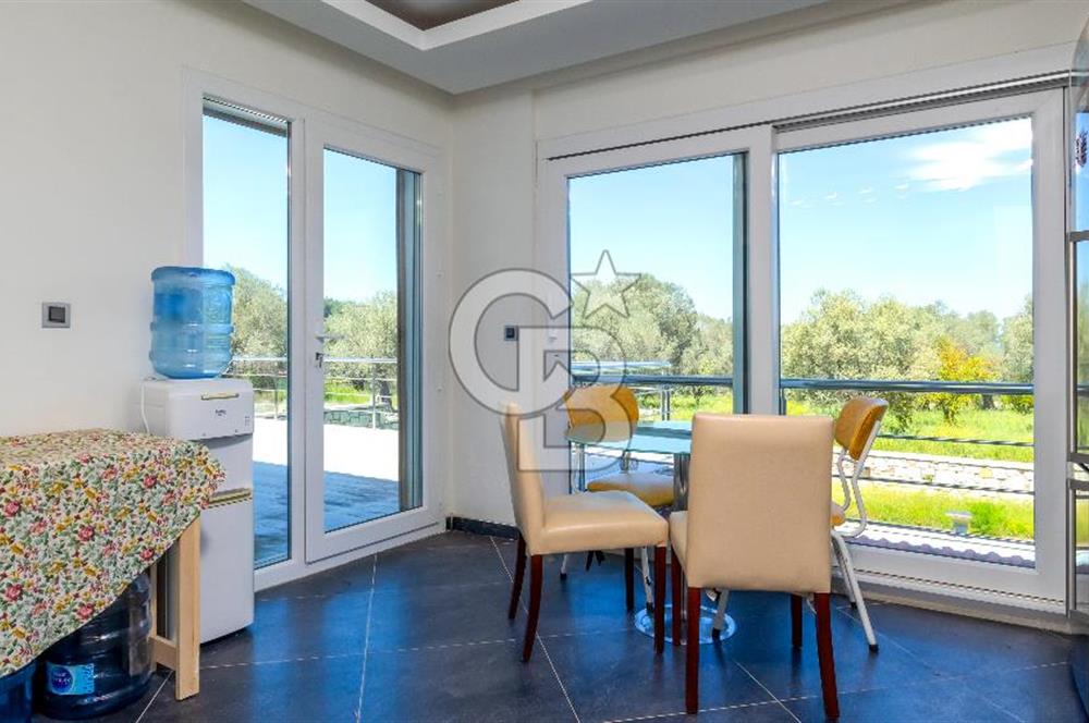 URLA KEKLİKTEPE'DE 9612M2 ZEYTİN AĞAÇLARI İÇİNDE HAVUZLU VİLLA