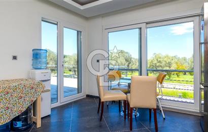 URLA KEKLİKTEPE'DE 9612M2 ZEYTİN AĞAÇLARI İÇİNDE HAVUZLU VİLLA