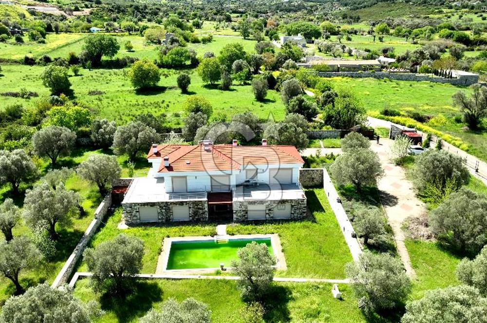 URLA KEKLİKTEPE'DE 9612M2 ZEYTİN AĞAÇLARI İÇİNDE HAVUZLU VİLLA