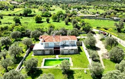 URLA KEKLİKTEPE'DE 9612M2 ZEYTİN AĞAÇLARI İÇİNDE HAVUZLU VİLLA