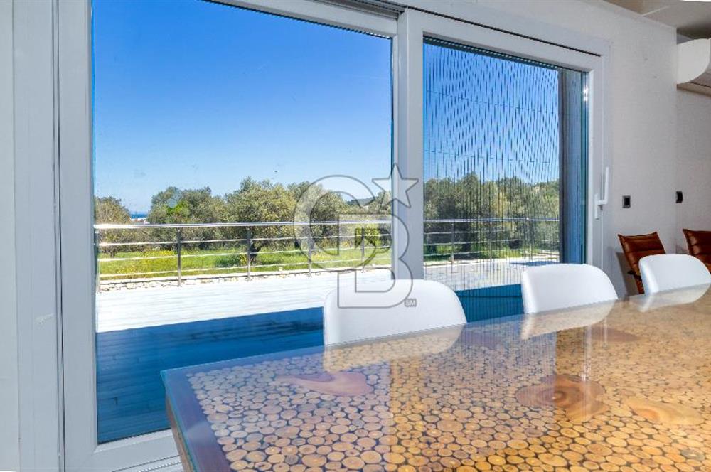 URLA KEKLİKTEPE'DE 9612M2 ZEYTİN AĞAÇLARI İÇİNDE HAVUZLU VİLLA