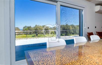 URLA KEKLİKTEPE'DE 9612M2 ZEYTİN AĞAÇLARI İÇİNDE HAVUZLU VİLLA