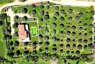 URLA KEKLİKTEPE'DE 9612M2 ZEYTİN AĞAÇLARI İÇİNDE HAVUZLU VİLLA