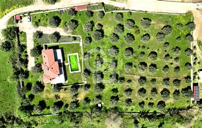 URLA KEKLİKTEPE'DE 9612M2 ZEYTİN AĞAÇLARI İÇİNDE HAVUZLU VİLLA