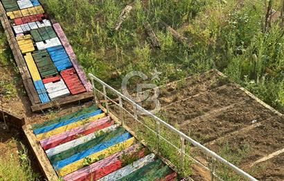 YALOVA MERKEZ SOĞUCAKDA 972M2 ARSA İÇİNDE SATILIK MÜSTAKİL EV!