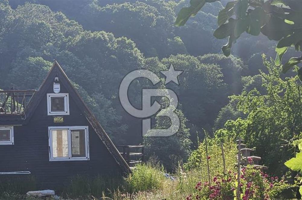 YALOVA MERKEZ SOĞUCAKDA 972M2 ARSA İÇİNDE SATILIK MÜSTAKİL EV!