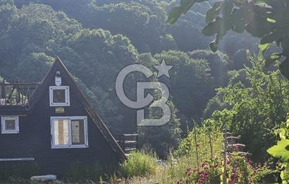 YALOVA MERKEZ SOĞUCAKDA 972M2 ARSA İÇİNDE SATILIK MÜSTAKİL EV!