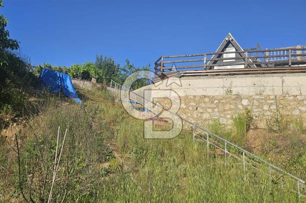 YALOVA MERKEZ SOĞUCAKDA 972M2 ARSA İÇİNDE SATILIK MÜSTAKİL EV!