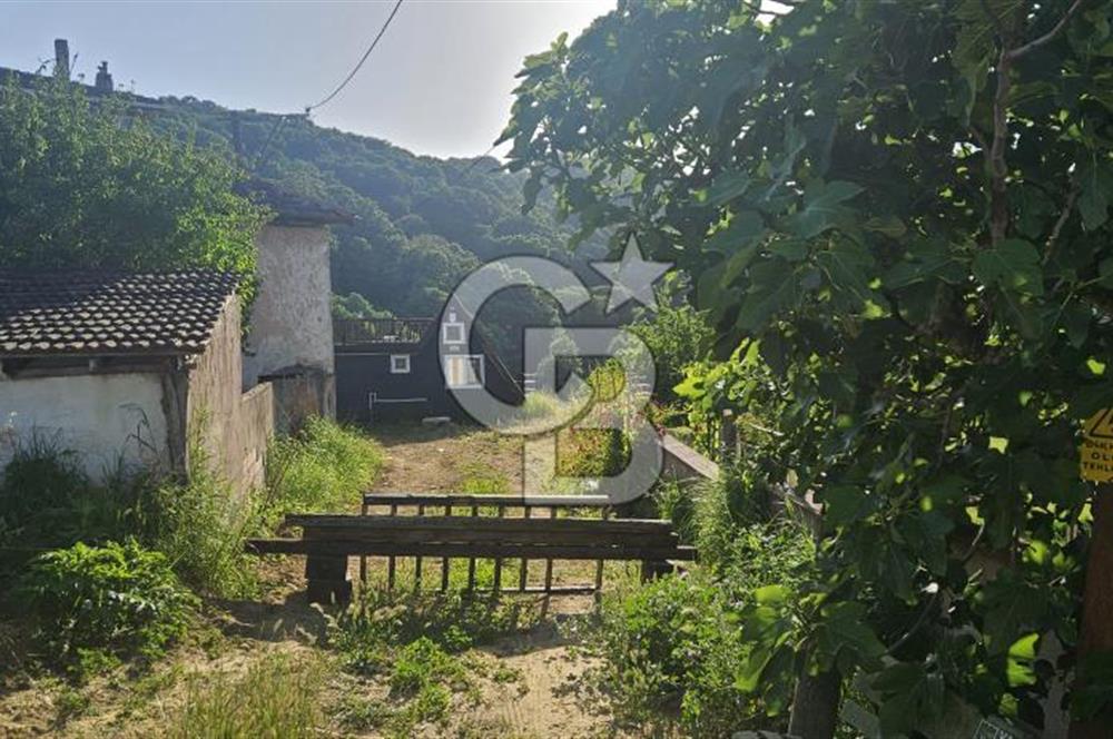 YALOVA MERKEZ SOĞUCAKDA 972M2 ARSA İÇİNDE SATILIK MÜSTAKİL EV!