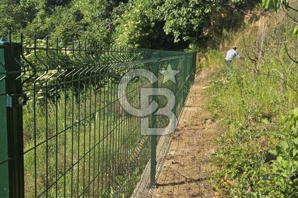 YALOVA MERKEZ SOĞUCAKDA 972M2 ARSA İÇİNDE SATILIK MÜSTAKİL EV!