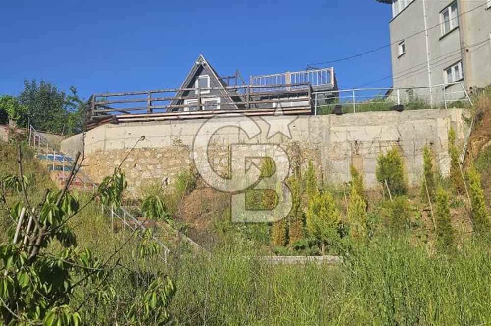 YALOVA MERKEZ SOĞUCAKDA 972M2 ARSA İÇİNDE SATILIK MÜSTAKİL EV!