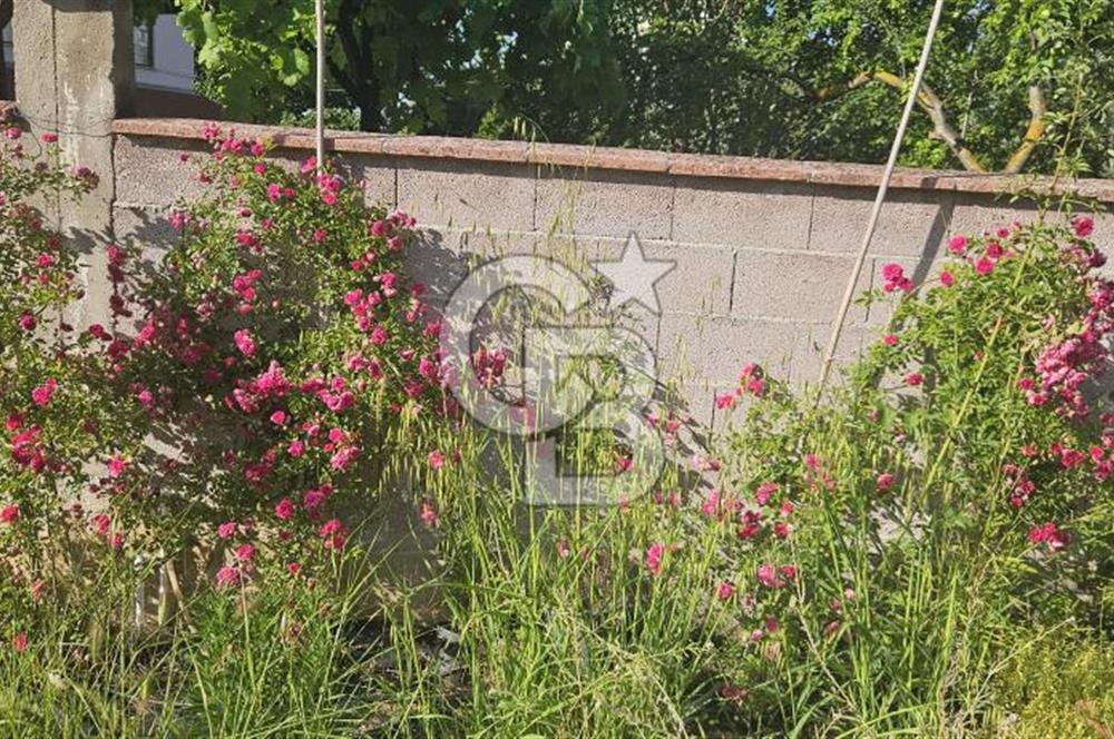 YALOVA MERKEZ SOĞUCAKDA 972M2 ARSA İÇİNDE SATILIK MÜSTAKİL EV!
