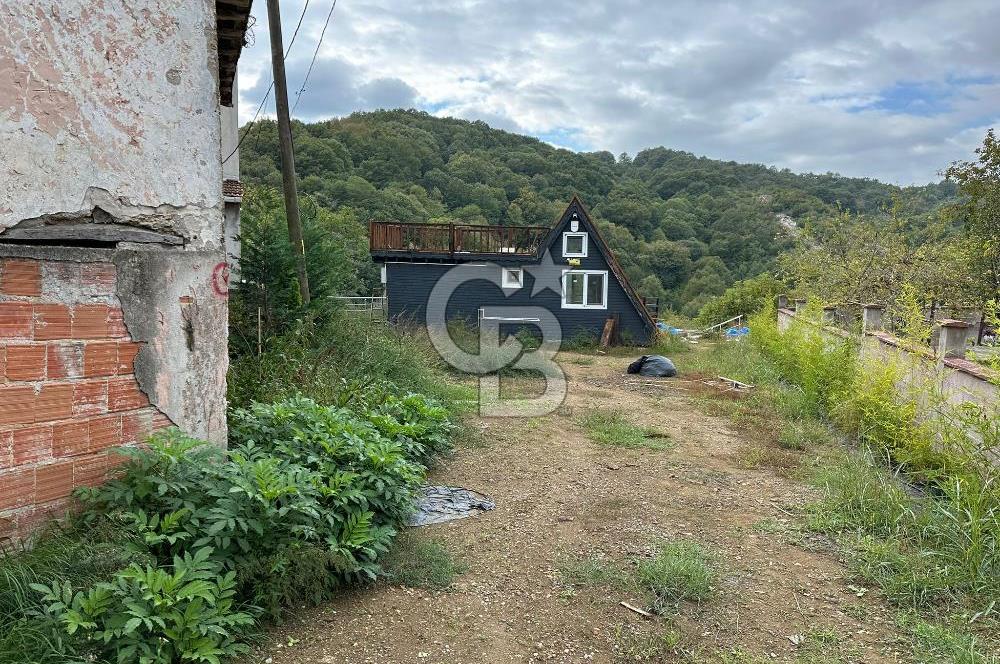 YALOVA MERKEZ SOĞUCAKDA 972M2 ARSA İÇİNDE SATILIK MÜSTAKİL EV!