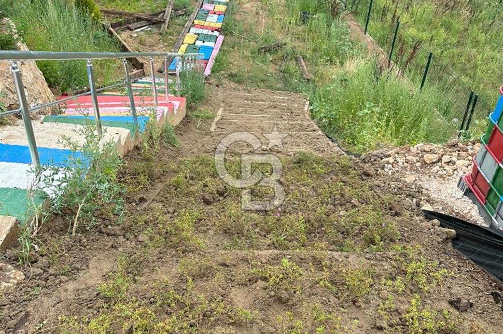 YALOVA MERKEZ SOĞUCAKDA 972M2 ARSA İÇİNDE SATILIK MÜSTAKİL EV!