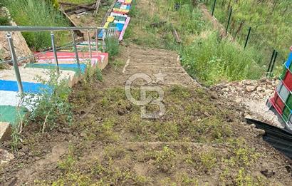 YALOVA MERKEZ SOĞUCAKDA 972M2 ARSA İÇİNDE SATILIK MÜSTAKİL EV!