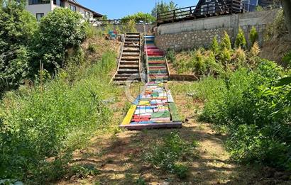 YALOVA MERKEZ SOĞUCAKDA 972M2 ARSA İÇİNDE SATILIK MÜSTAKİL EV!